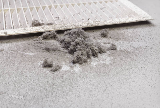 Best Air Duct Cleaning Near Me  in Guntersville, AL