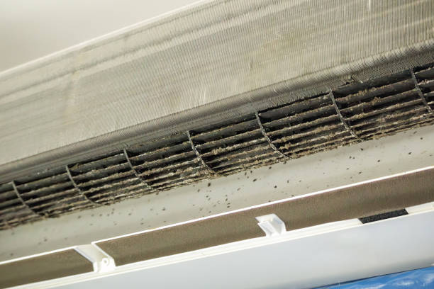 Best Local Air Duct Cleaning Services  in Guntersville, AL
